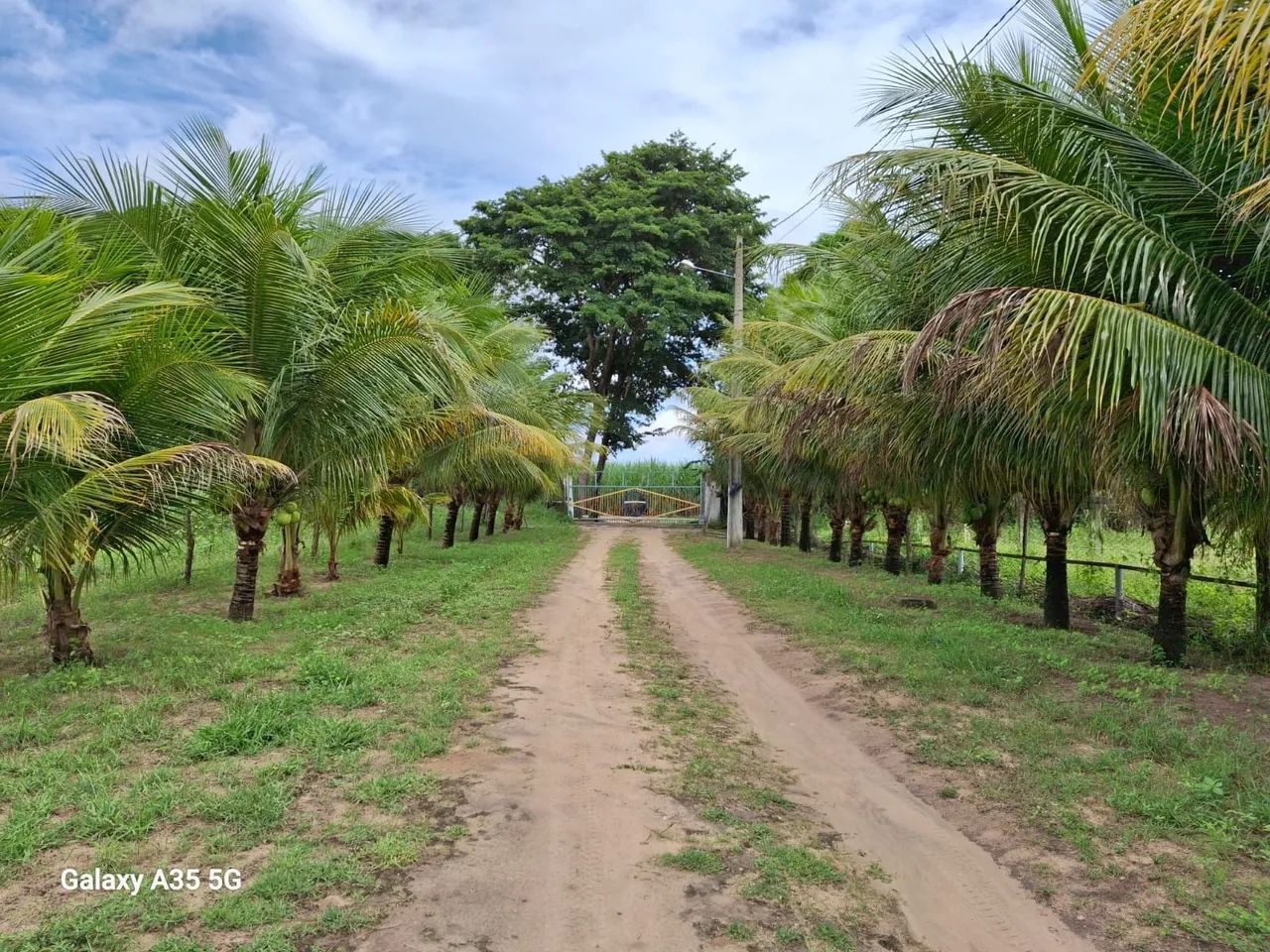 Granja Lagoa do Bomfim  - Foto 4