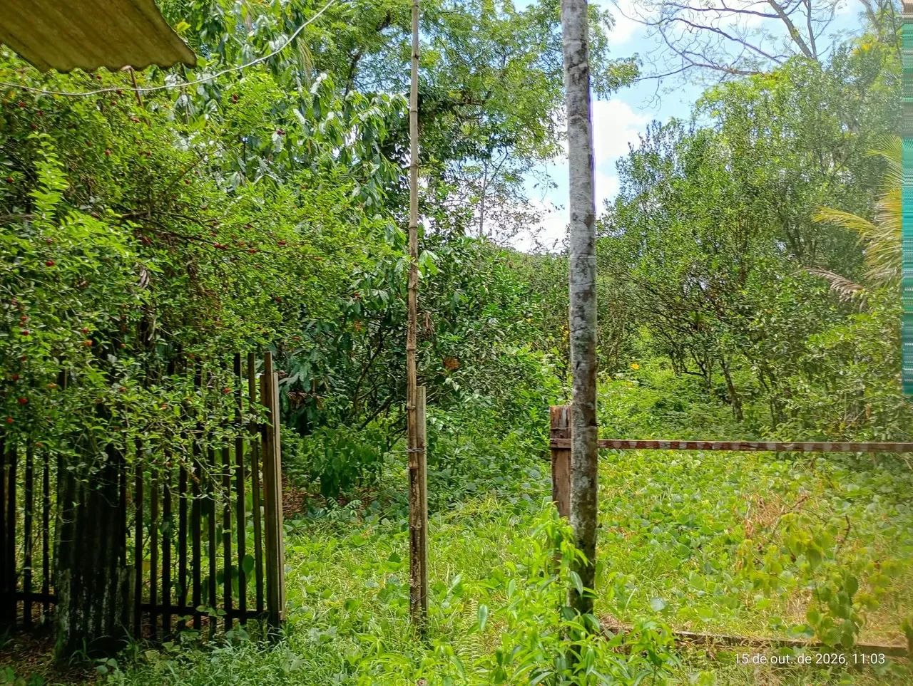 Sítio em Benevides  - Foto 3