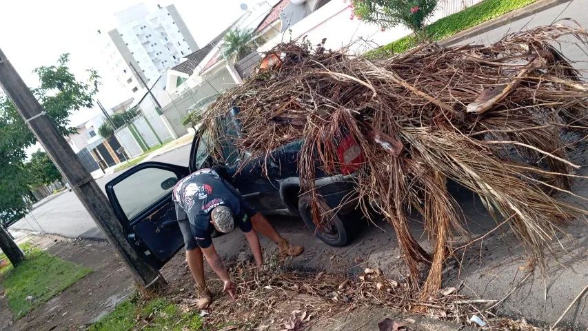 Retirada de entulhos - Foto 5