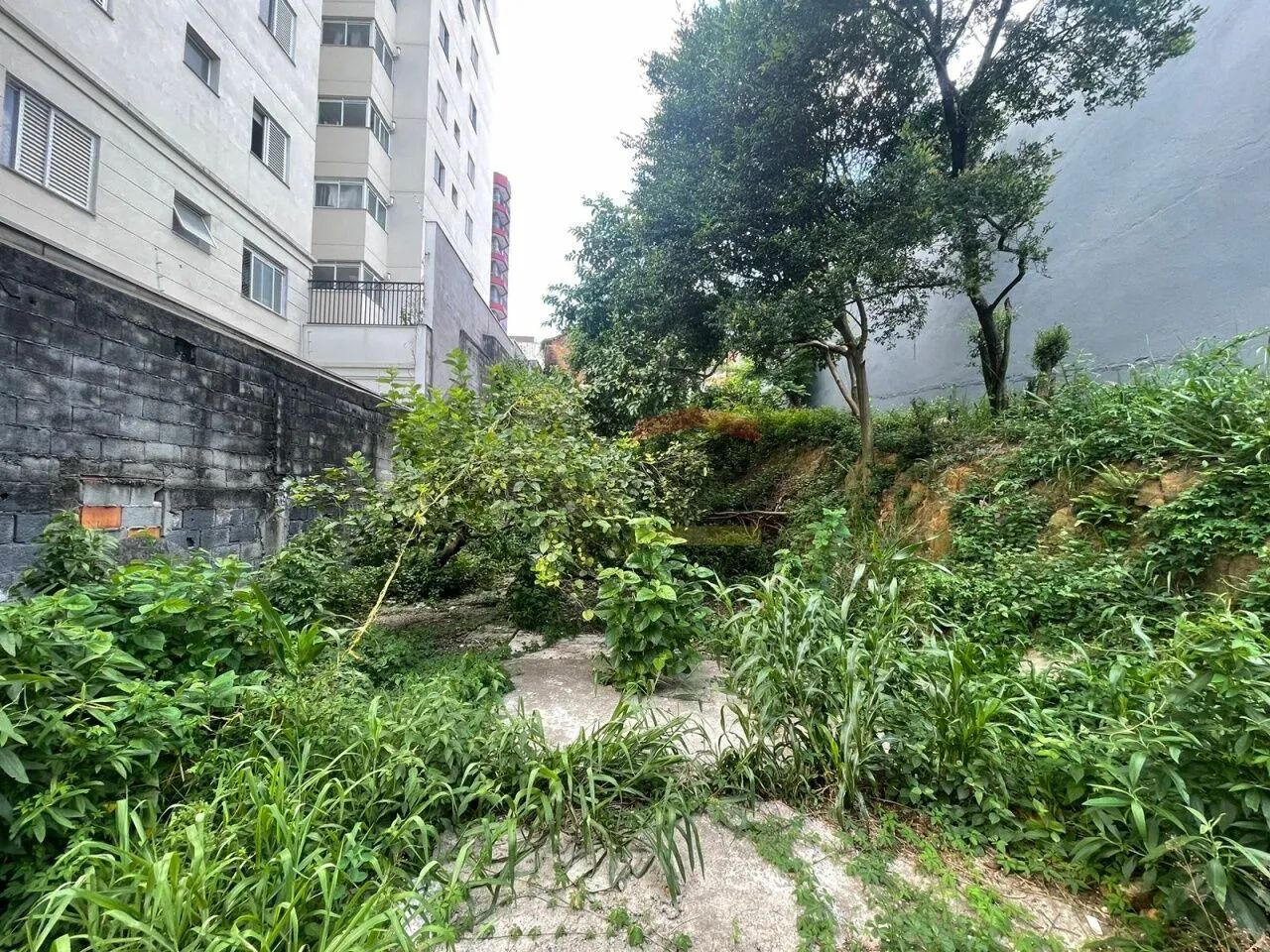 TERRENO PARA VENDA VILA GUILHERME - Foto 3