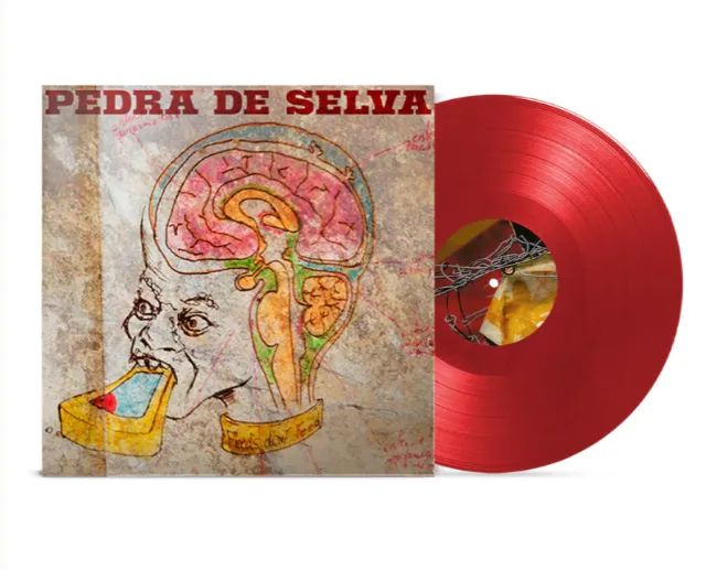 LP Curumim PEDRA DE SELVA - Edição Limitada - Disco de Vinil - Foto 2