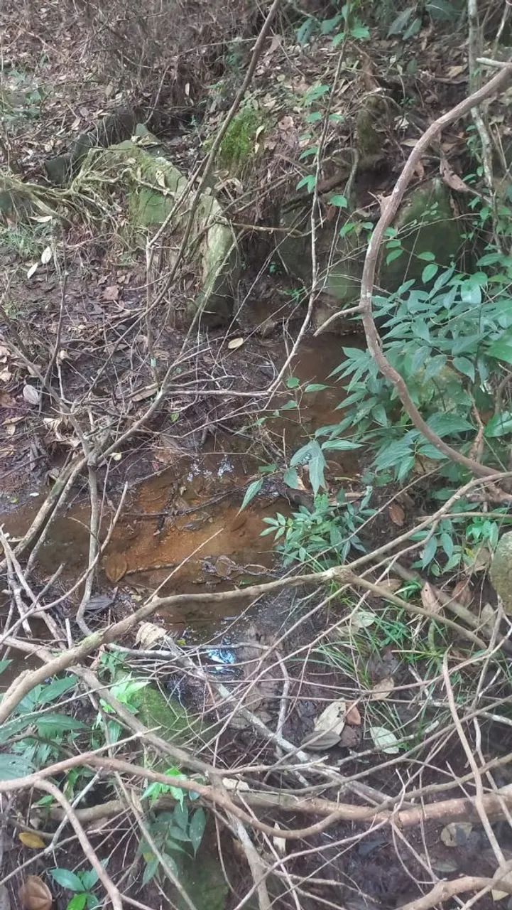 Fazende dos pássaros  - Foto 2