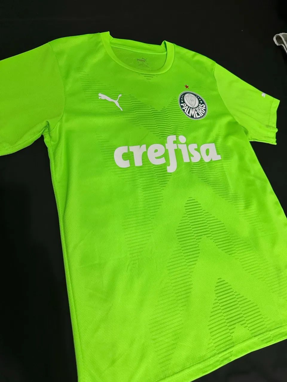 Camisa goleiro Palmeiras 