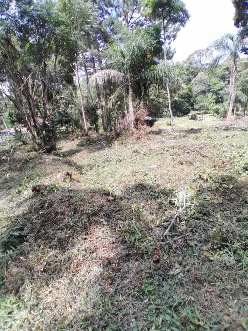 Chácara 1.200 m² - Mandirituba  - Foto 4