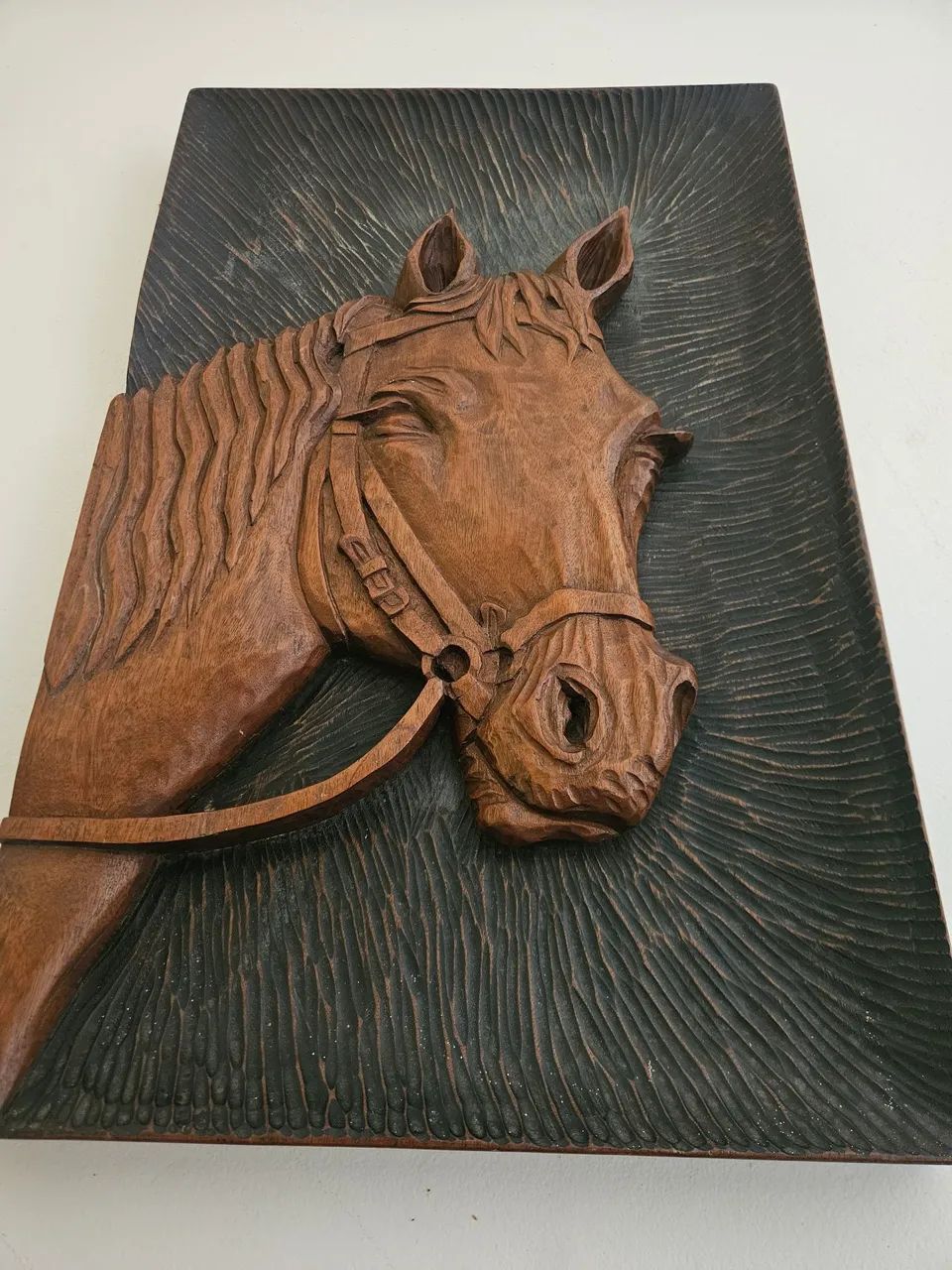 Cabeça de cavalo  - Foto 4