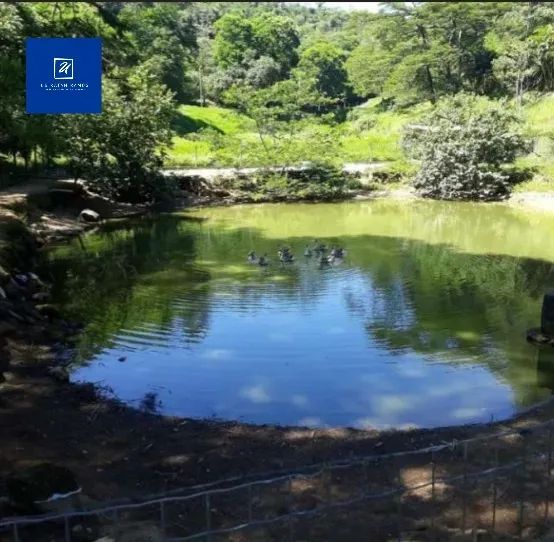 Engenho do Mato - Niterói - RJ, vendo - Foto 3
