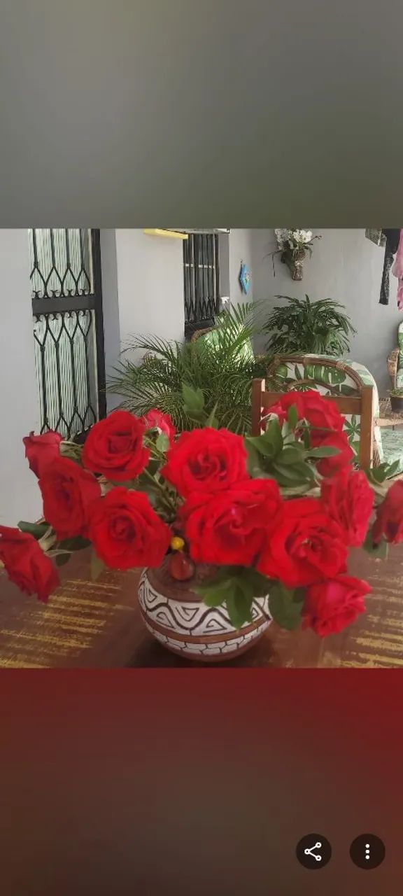 Foto - Itaguaí - Weda