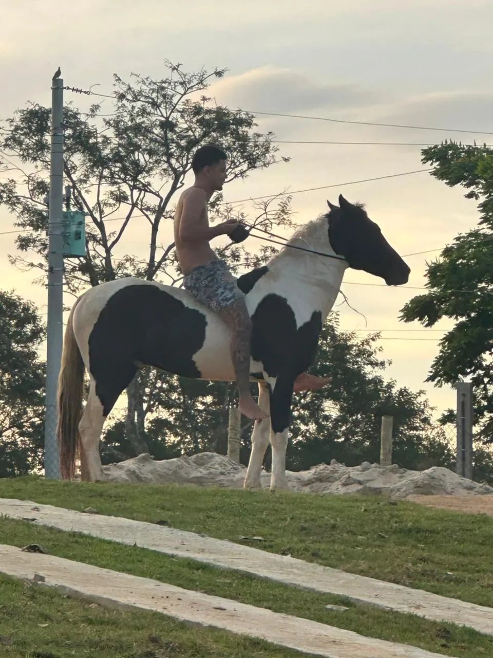 Vende-se  - Foto 2