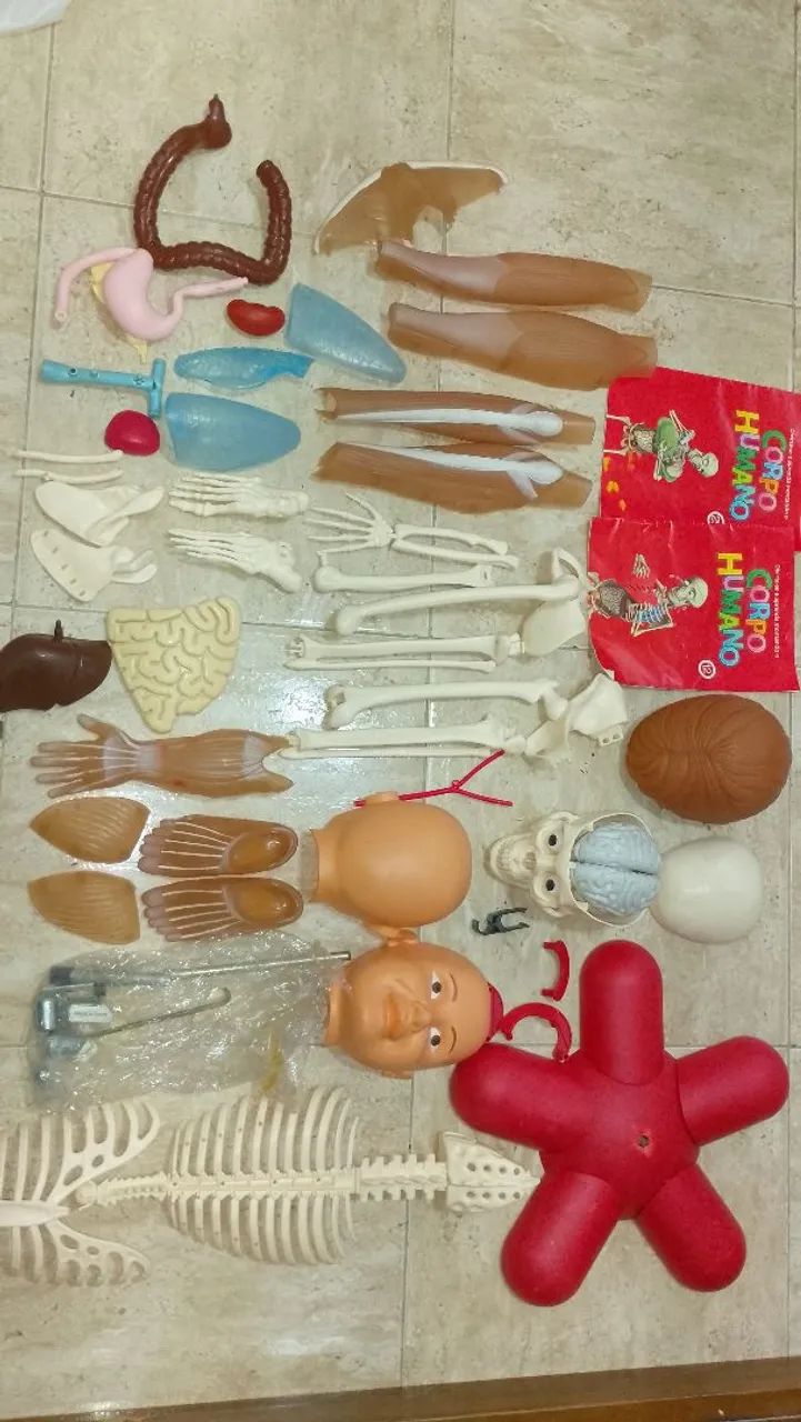Coleção Corpo Humano SALVAT  - Foto 2