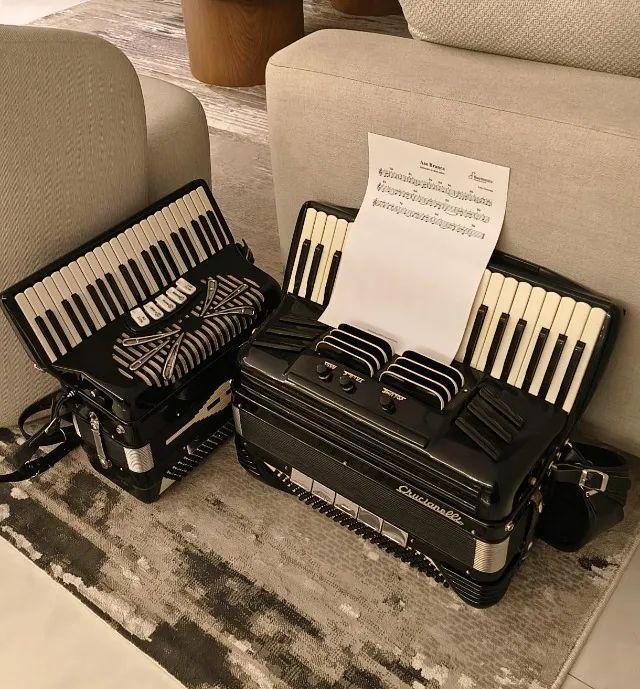 Acordeon a venda