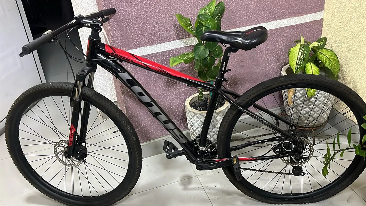 Vendo bicicleta LOTUS  - Foto 2