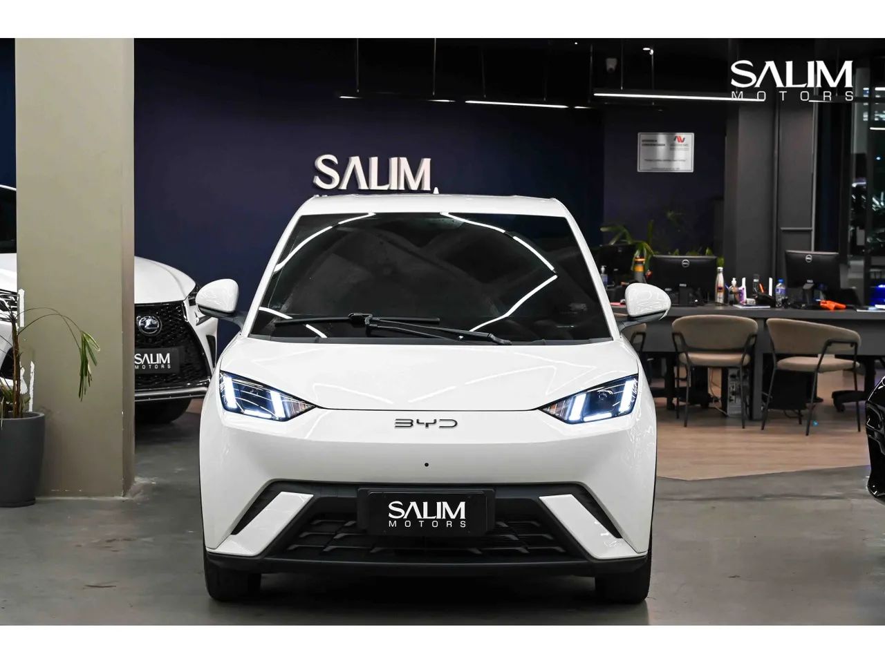 BYD Dolphin Mini (Elétrico) 2027 - Foto 2