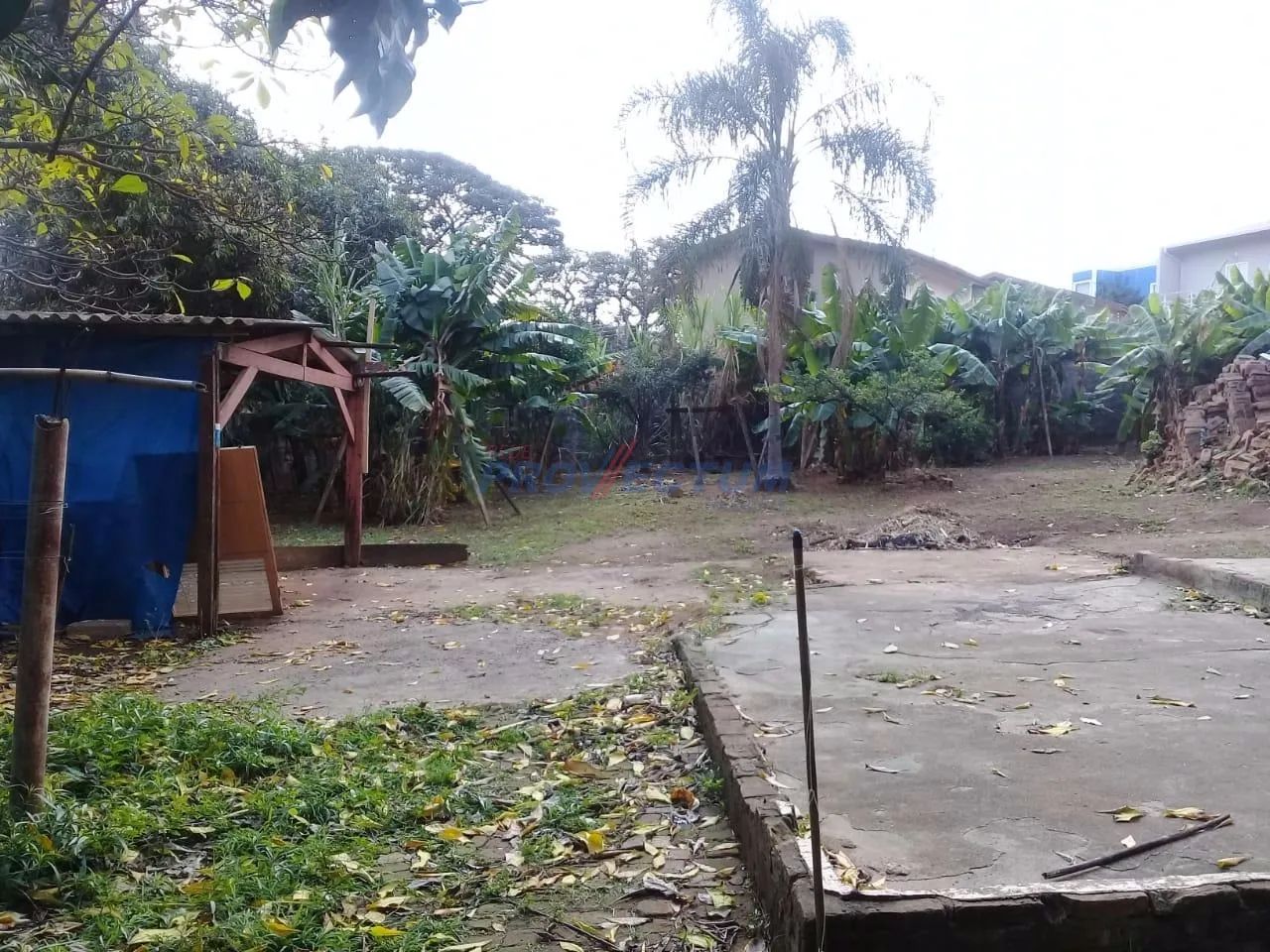 terreno - Jardim Chapadão - Campinas - Foto 5