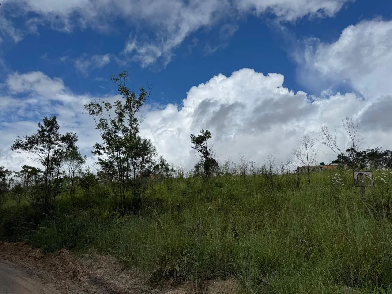 Foto - Piedade - 