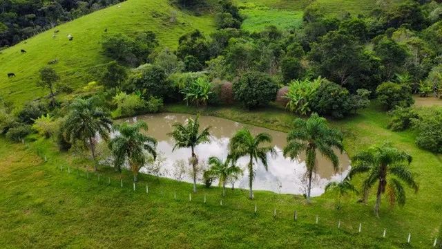 SÍTIO COM 43 HECTARES EM JAMBEIRO - Foto 2