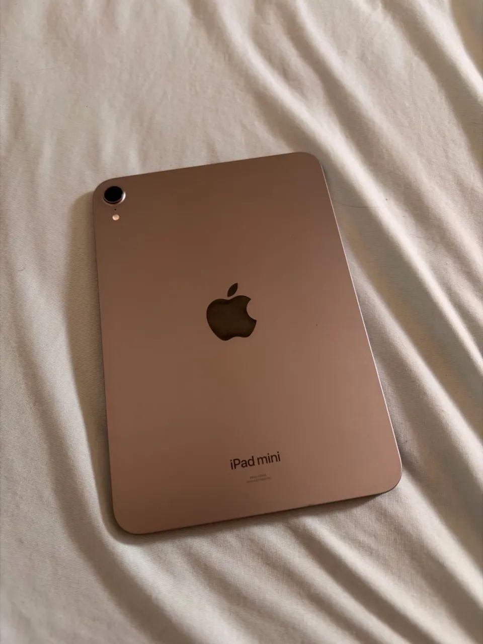 iPad Mini 7
