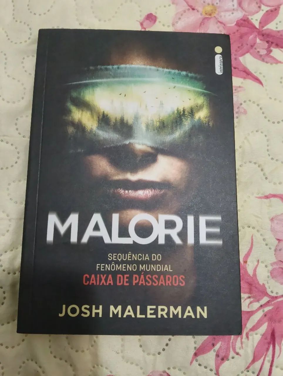 Malorie / Sequência de Caixa de Pássaros Josh Malerman