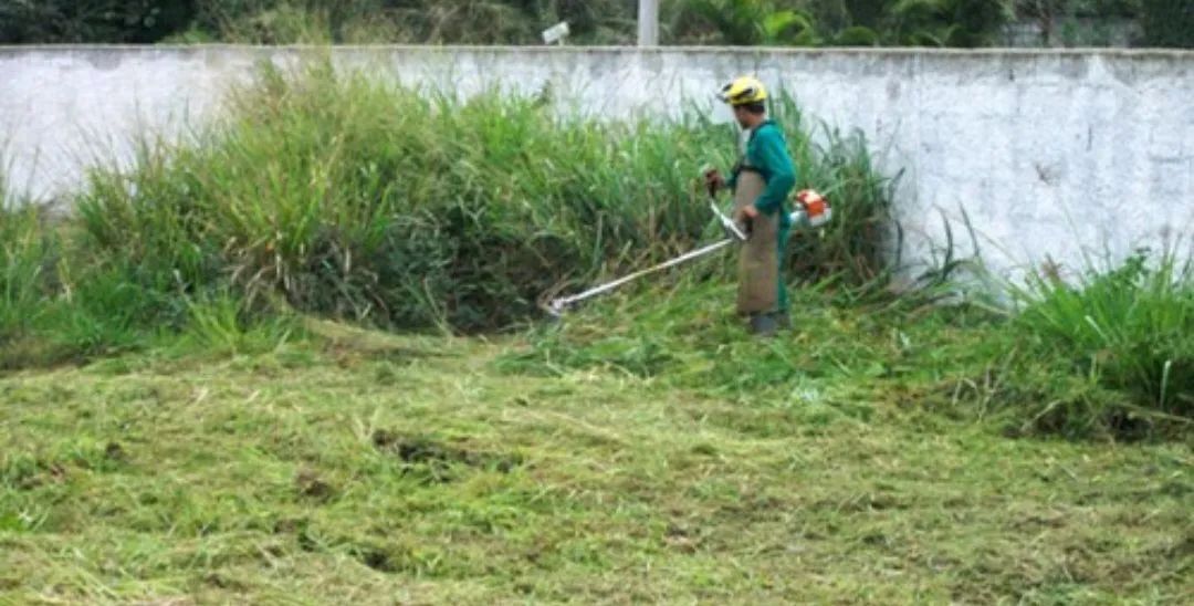 Faço limpeza de terreno e jardinagem e entulho  - Foto 2