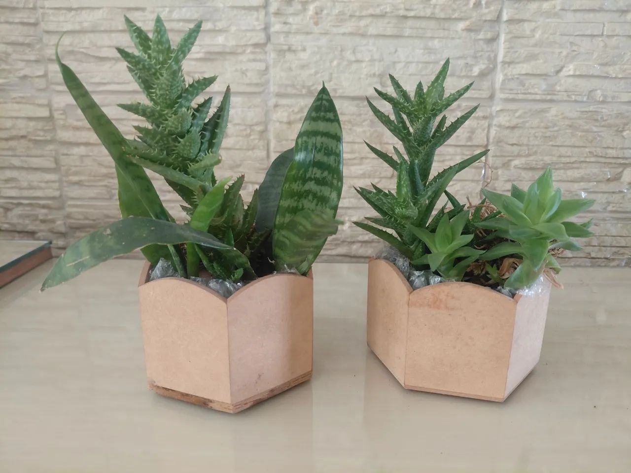 Jardinagem 