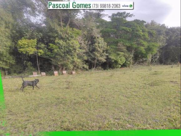 95 % Plana, Prado, Bahia - Foto 4