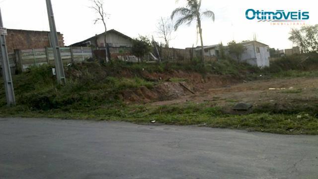 Área comercial à venda, itália, são josé dos pinhais - ar0003. - Foto 4
