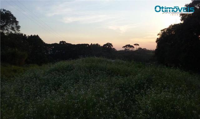 Área à venda, colônia zacarias, são josé dos pinhais - ar0002. - Foto 7