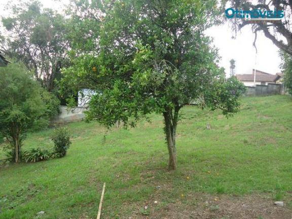 Terreno comercial para locação, vista alegre, curitiba - te0016. - Foto 5