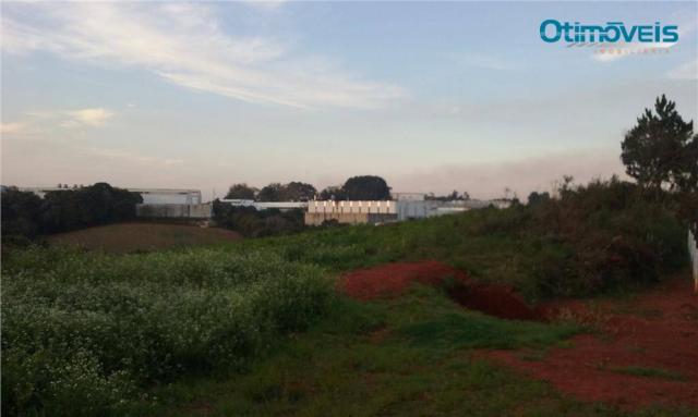 Área à venda, colônia zacarias, são josé dos pinhais - ar0002. - Foto 5