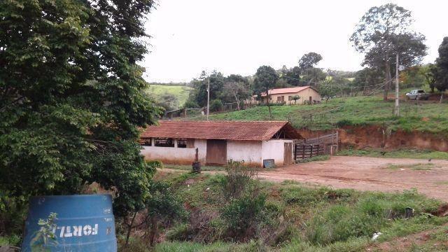 Fazenda 80 Ha Pitangui - Foto 2