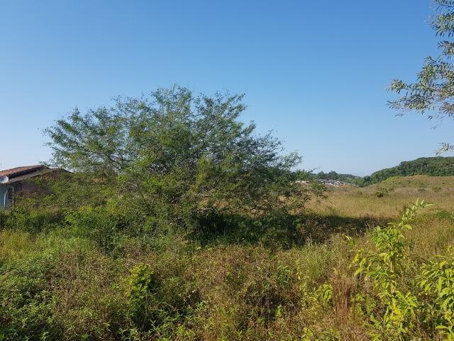 Área industrial de frente para a BR101 em Pirabeiraba - Foto 14