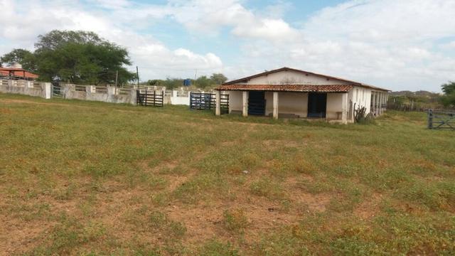 Fazenda Fernando Pedrosa, 489 Hectares, Escriturada, 7km Rio Pajeú, Açude, Casa Sede - Foto 14