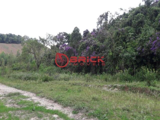 Terreno com 40.000m² e com 5.000 pés de eucalipto em papucaia - Foto 13