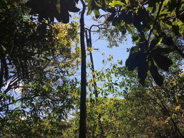 Chácara de lazer no Capivari - Foto 10