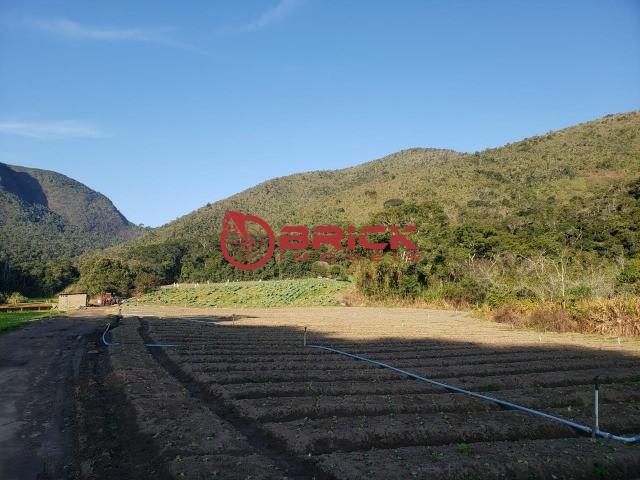 Maravilhosa fazenda com excelente potencial comercial em albuquerque. - Foto 12