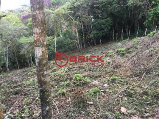 Terreno de 900 m² no alto, teresópolis/rj - Foto 4