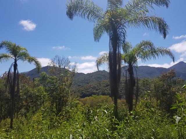 Chácara de lazer no Capivari - Foto 4