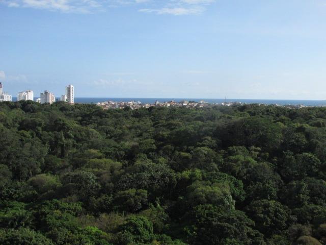 Apartamento Itaigara - Foto 11