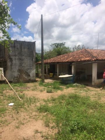 Fazenda-Granja-Sítio-Chácara 12 Hectares Aliança, Aceito Imóvel ou Automóvel - Foto 3