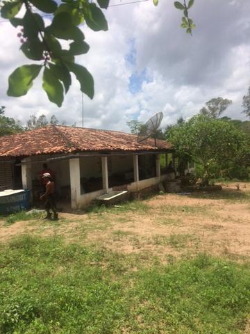 Fazenda-Granja-Sítio-Chácara 12 Hectares Aliança, Aceito Imóvel ou Automóvel - Foto 2