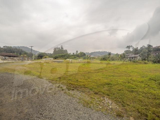Terreno com aproximadamente 2.500 m², no bairro badenfurt . - Foto 6
