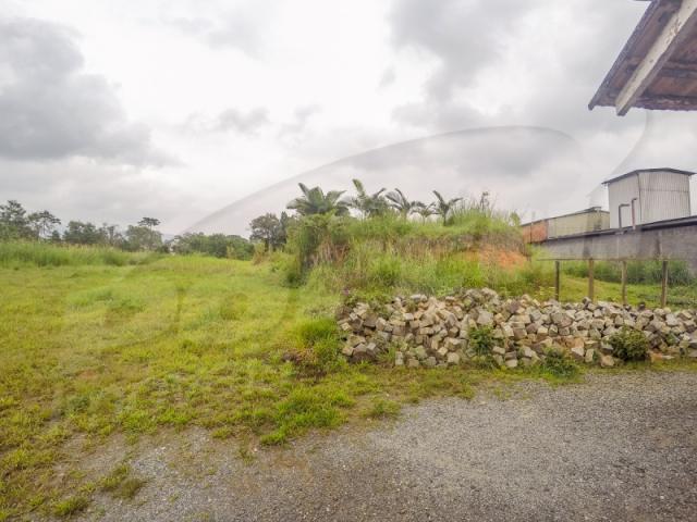 Terreno com aproximadamente 2.500 m², no bairro badenfurt . - Foto 3