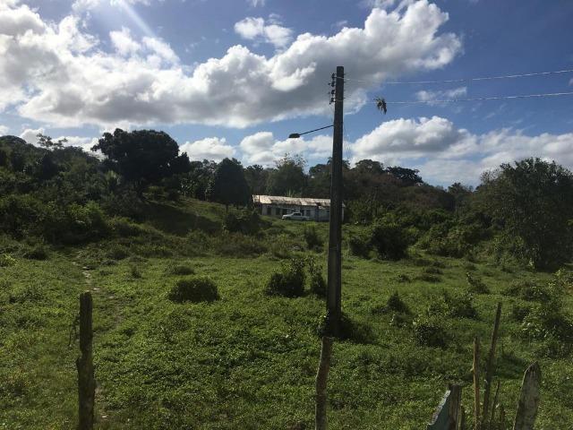 Fazenda - Barro Preto - Foto 6