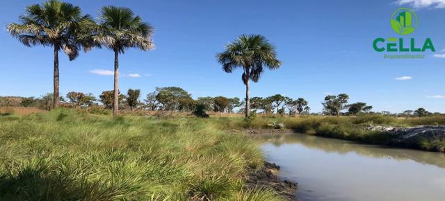 Fazendas para Pecuária no Tocantins / A partir de R$ 1.500,00 por Hectare - Foto 5