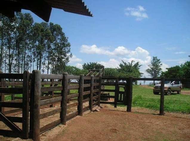 580 Hectares - 240 Alqueires - Fazenda Sede - Lapa - Foto 13