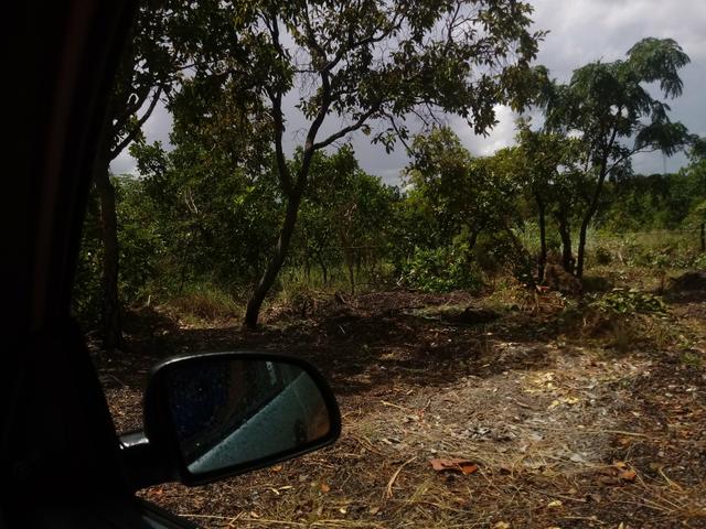 Terreno - Foto 2