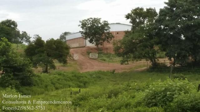 Fazenda em Porangatu!! - Foto 10