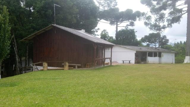Oportunidade Sítio em Mandirituba - Foto 10