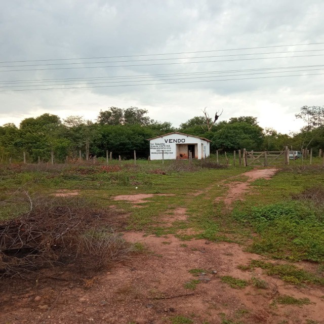 Vendo Fazenda R$2.900 /ha frente BR135 Monte Alegre Piauí, Pecuária 2.675 HA - Foto 2