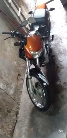 FALCO PRETA E LARANJA