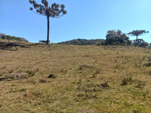 Chácara 2,0 Ha Dalagno